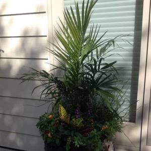 Meet your Posher, Connie